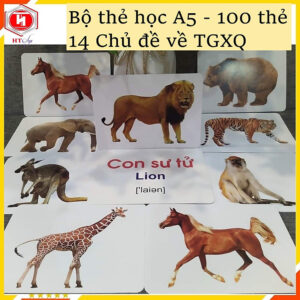 [Review] Bộ 100 Thẻ Học Thông Minh Cho Bé, Flashcard Song Ngữ Cho Bé Với 14 Chủ Đề Thế Giới Xunh Quanh Khổ A5 21x15cm