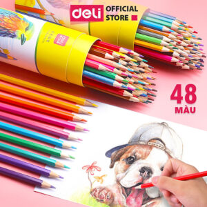[Review] Bút chì màu dạng cốc Deli - bút chì gỗ khô tự nhiên an toàn - 12/24/36/48 màu - 7070