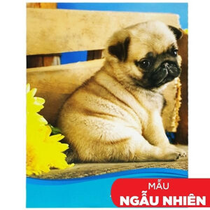 [Review] Tập 4 Ly Ngang 200 Trang ĐL 60g/m2 - FAHASA (Mẫu Màu Giao Ngẫu Nhiên)