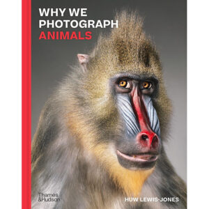 [Review] Why We Photograph Animals