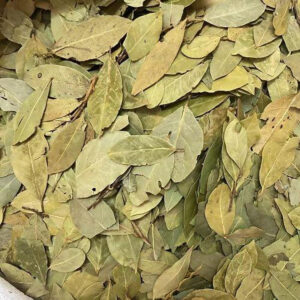 [Review] Bộ sưu tập đĩa đốt gỗ Palo santo chuyên dụng