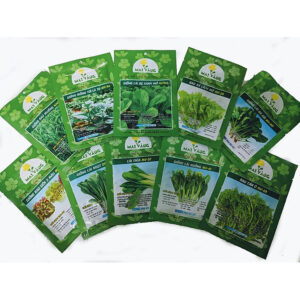 [Review] Combo 10 gói hạt giống rau ăn lá phổ biến trồng thủy canh - 10 loại khác nhau như hình (chat với shop nếu muốn chọn)