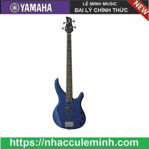 [Review] Đàn Guitar Electric Bass TRBX174