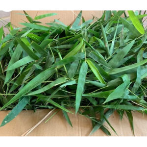 [Review] Lá tre tươi, phơi khô sạch, thơm 1kg đặt hàng mới hái
