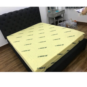 [Review] Nệm cao su non Thắng Lợi dày 10cm