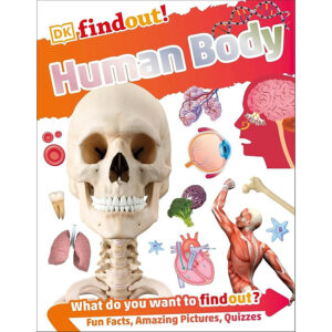 [Review] Sách ngoại văn: DKfindout! Human Body